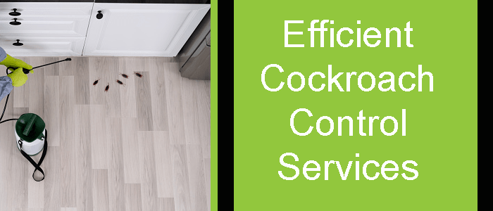 Efficient Cockroach Control Services